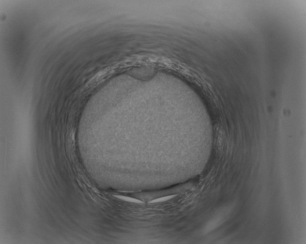 X0000083641489200703121706