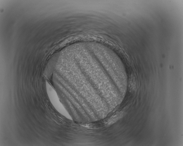 X0000083641490200703121706