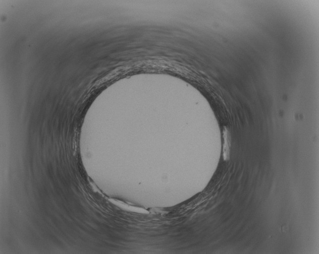 X0000083641491200703121706