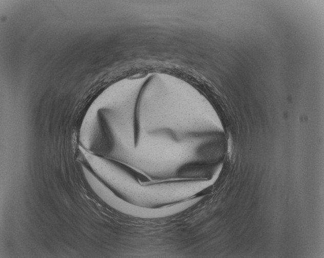 X0000083641492200703121706