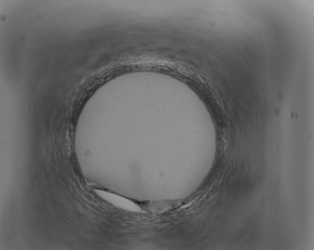 X0000083641493200703121706