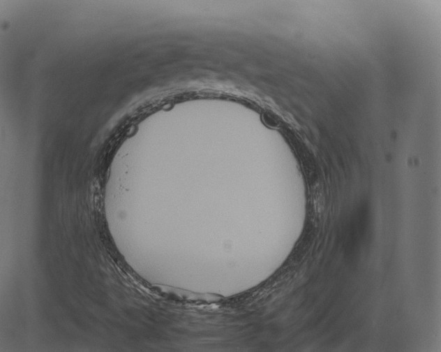 X0000083641495200703121706