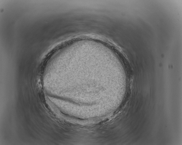 X0000083641496200703121706