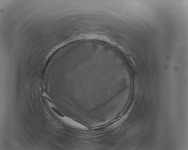 X0000083641497200703121706