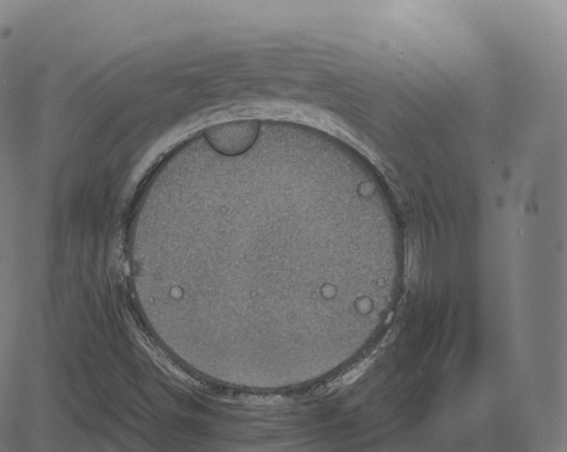 X0000083641498200703121706