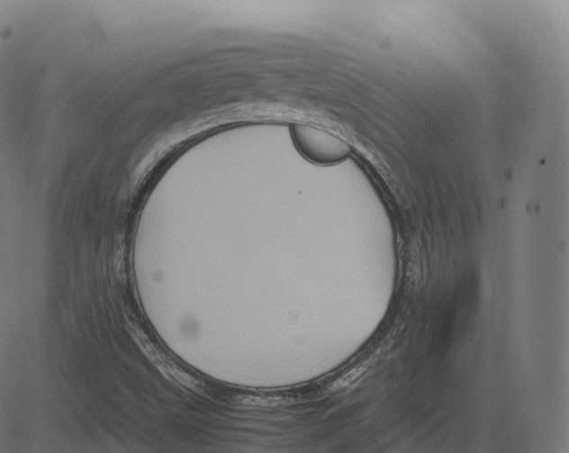 X0000083641499200703121706