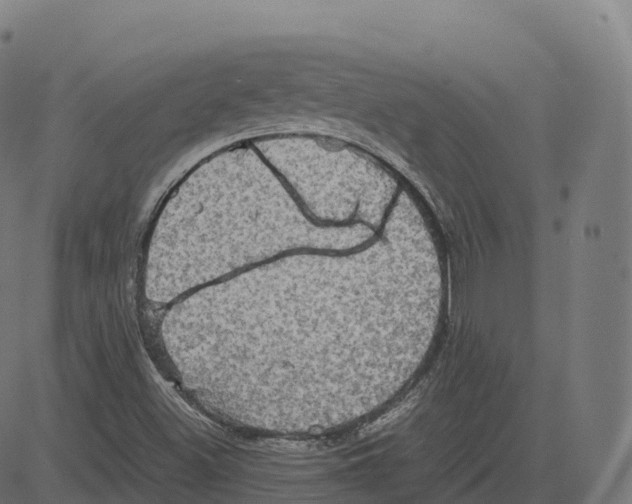 X0000083641500200703121706