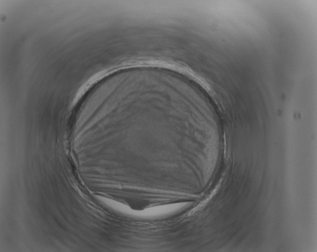 X0000083641501200703121706