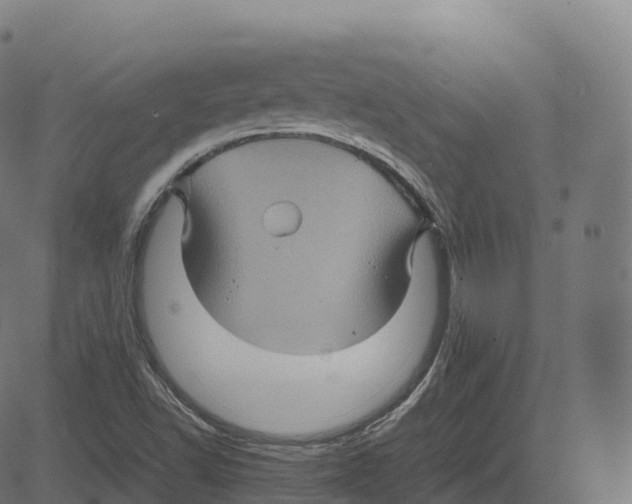 X0000083641502200703121706