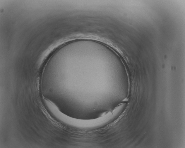 X0000083641503200703121706