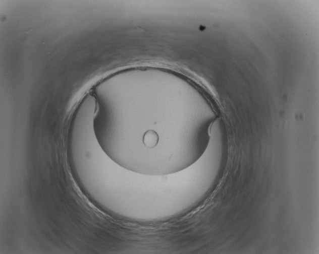 X0000083641504200703121706