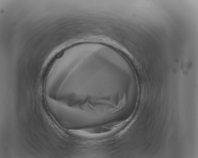 X0000083641506200703121706