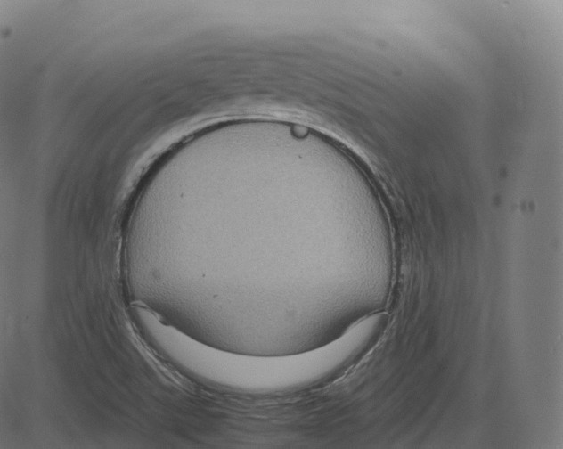 X0000083641507200703121706