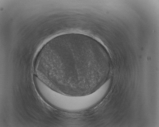 X0000083641508200703121706