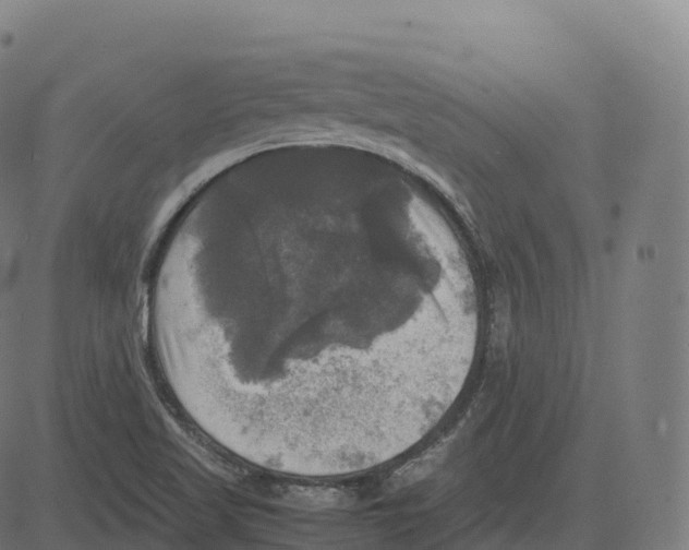 X0000083641509200703121706