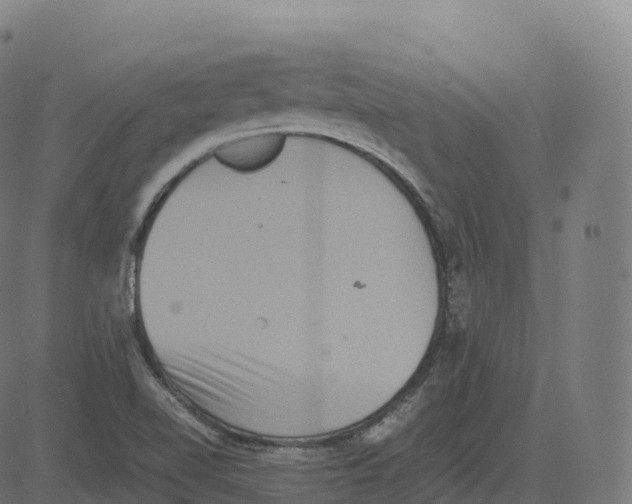 X0000083641510200703121706