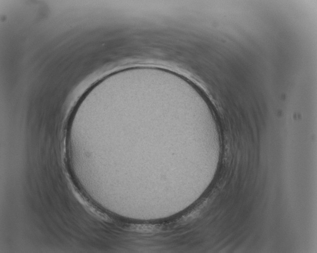 X0000083641511200703121706