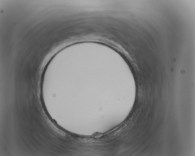 X0000083641512200703121706