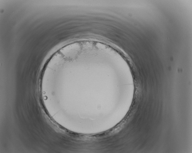 X0000083641514200703121706