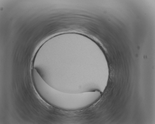 X0000083641516200703121706