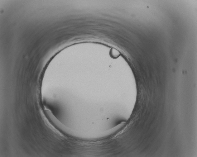 X0000083641518200703121706