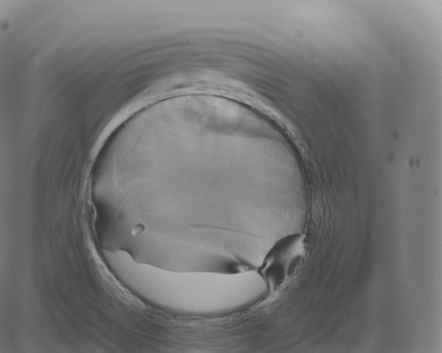 X0000083641522200703121706