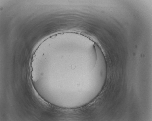 X0000083641524200703121706