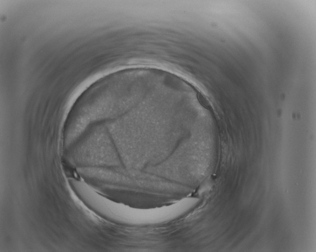 X0000083641527200703121706