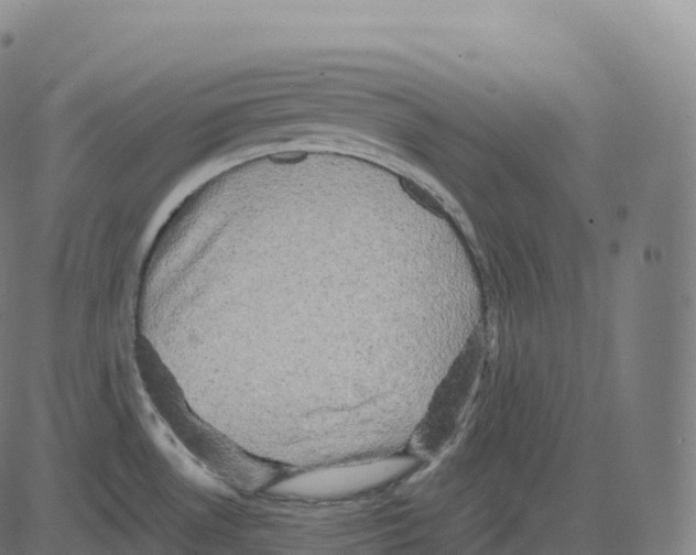 X0000083641530200703121707