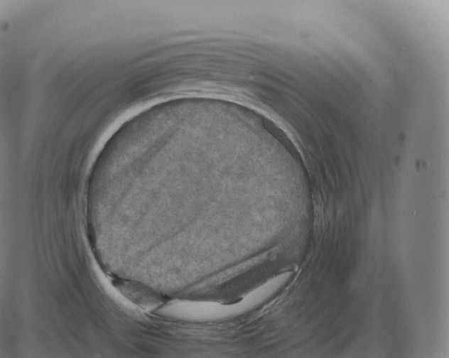 X0000083641531200703121707