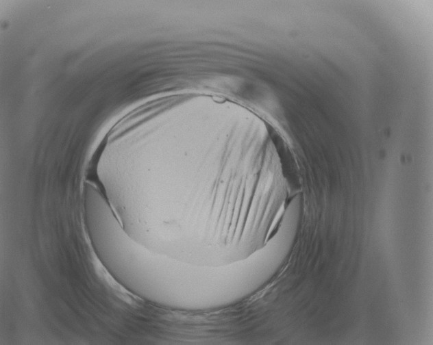 X0000083641532200703121707