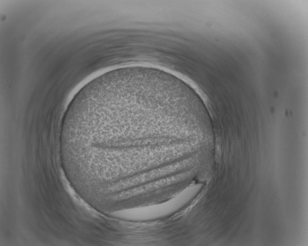 X0000083641534200703121707