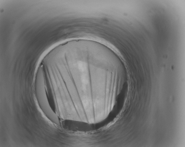 X0000083641536200703121707