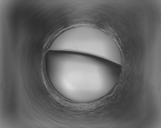 X0000083650001200702120848