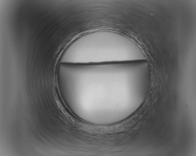 X0000083650002200702120848