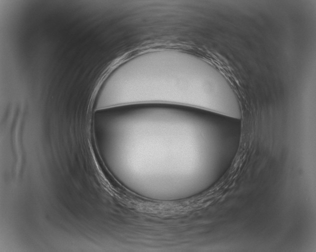 X0000083650003200702120848