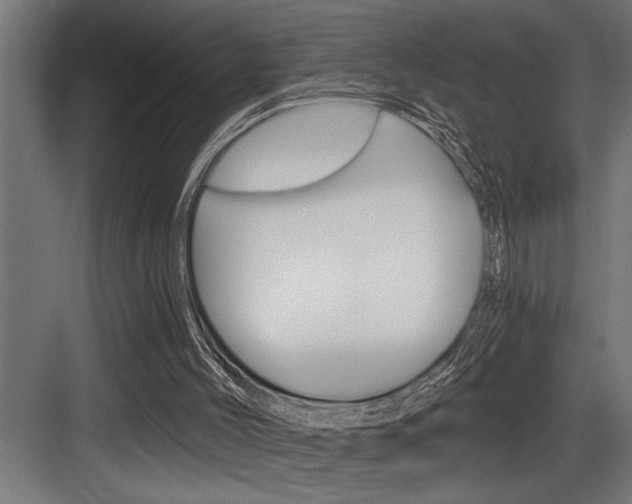 X0000083650004200702120848