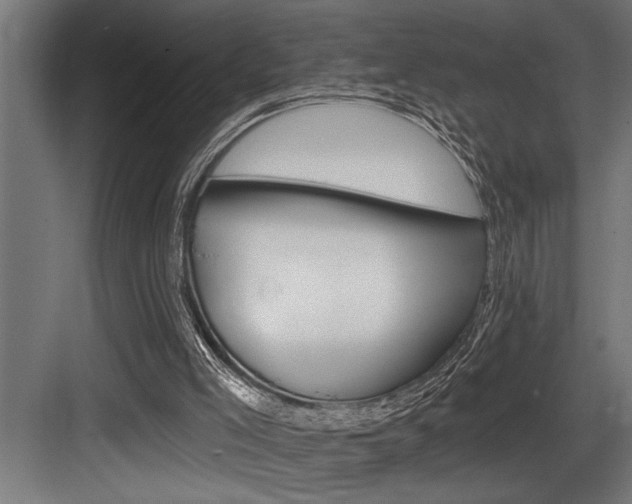 X0000083650005200702120848