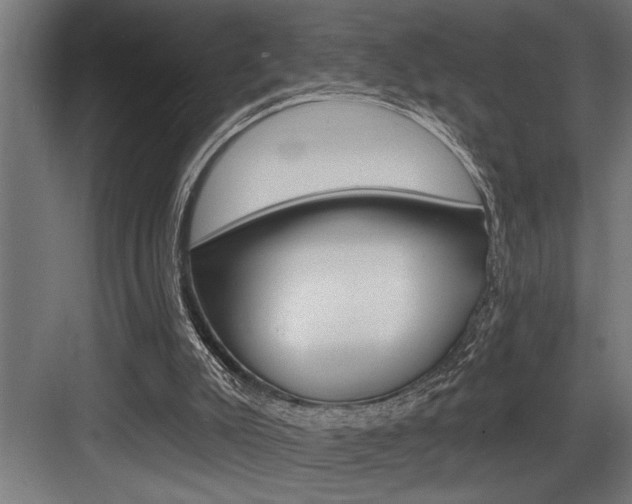 X0000083650007200702120848