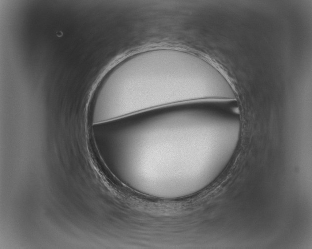 X0000083650008200702120848
