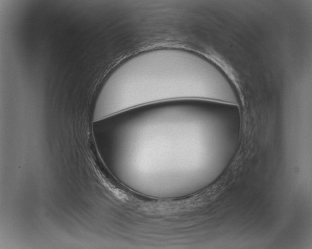 X0000083650009200702120848