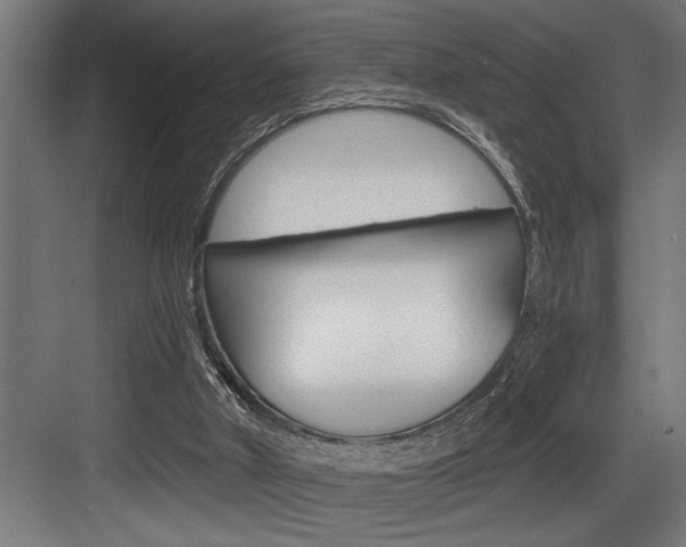 X0000083650010200702120848