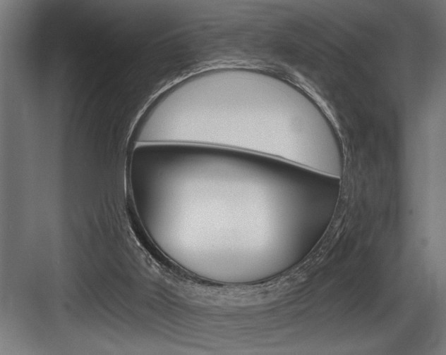 X0000083650011200702120848