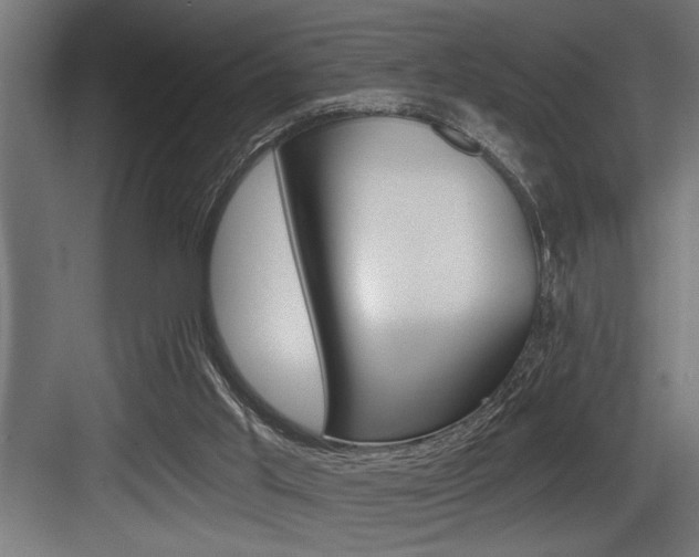 X0000083650013200702120848