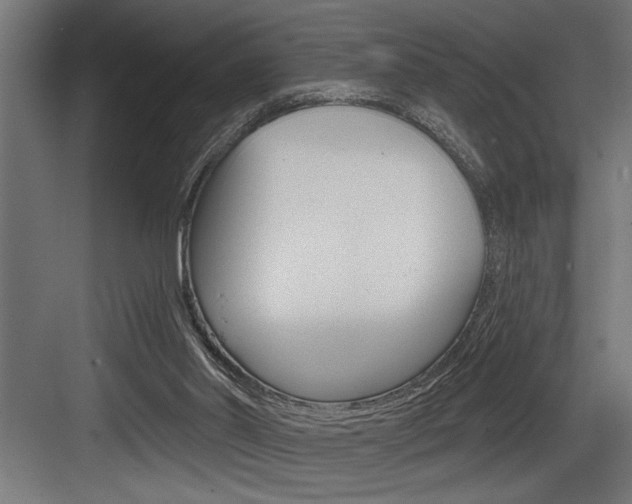 X0000083650014200702120848