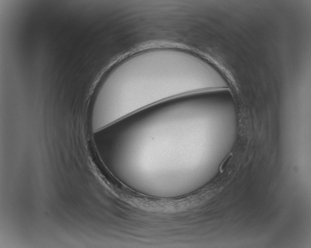 X0000083650015200702120848