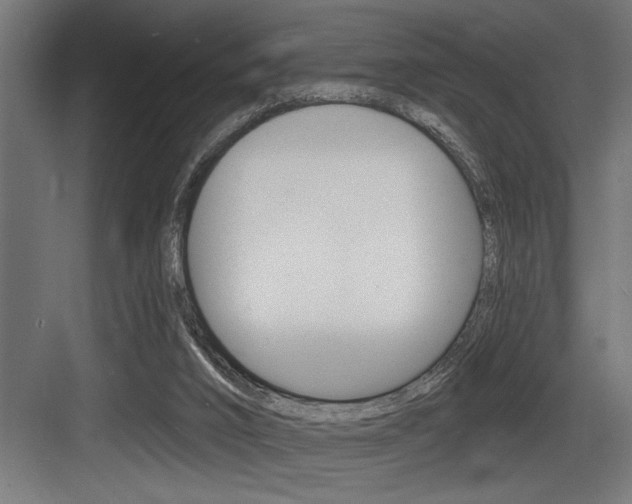 X0000083650016200702120848