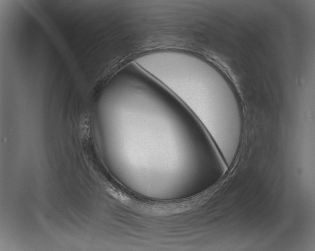 X0000083650017200702120848
