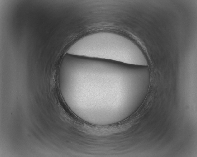 X0000083650018200702120848