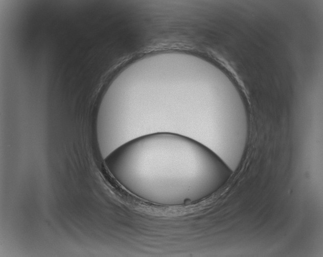 X0000083650019200702120848